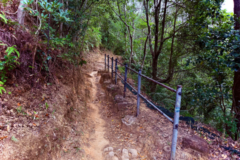 Ma On Shan Ridge & Hunchbacks Advanced Hike (Full Day)