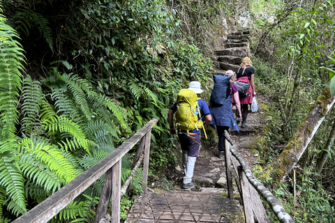 Inca Trail to Machu Picchu and Puerta del Sol Inca Trail to Machu Picchu and Puerta del Sol Panoramic Train