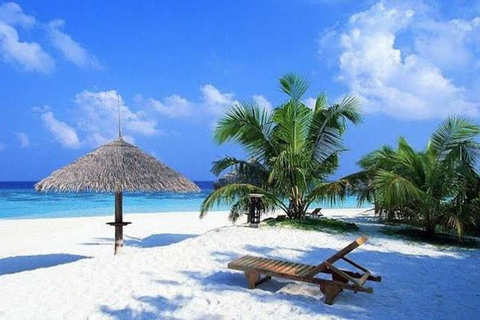 Negombo: Guided City Tour with Airport Drop-Off