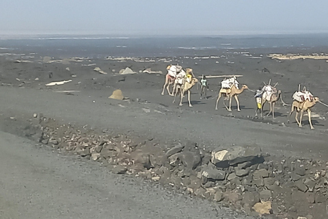 Depresja Danakil - wulkan Dallol-Ertale - wycieczka do Afar w Etiopii