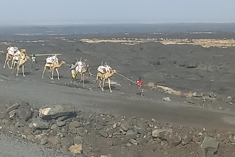 Danakil depression -Dallol-Ertale volcano-Afar Ethiopia Tour