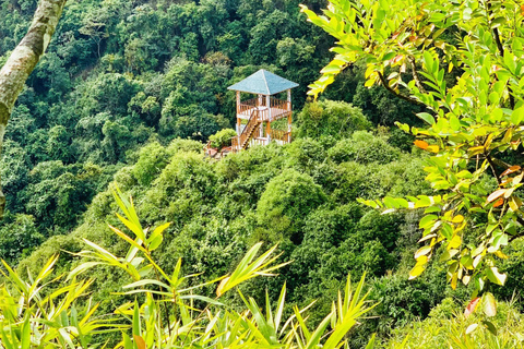 Cat Ba: Half Day Trekking to Visit Cat Ba National Park