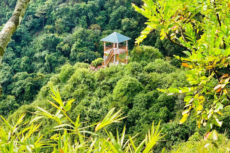 Cat Ba: Half Day Trekking to Visit Cat Ba National Park