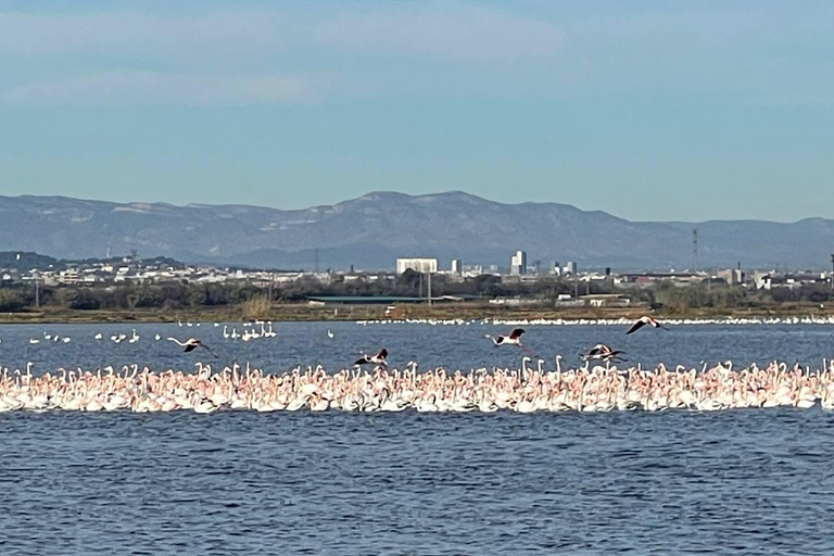 Valência: Tour guiado de E-Bike pelo Lago Albufera