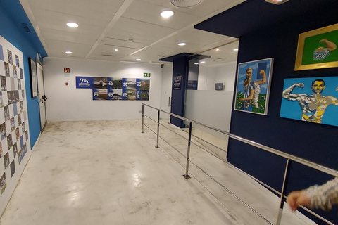 Malaga : visite guidée du stade La Rosaleda et du musée