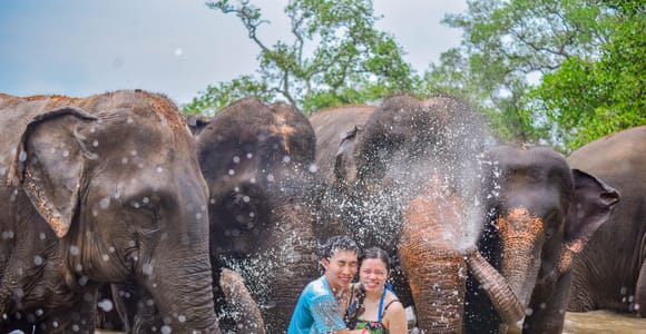 Phuket: Lily Elephant Half day Trip on the Beach with lunch
