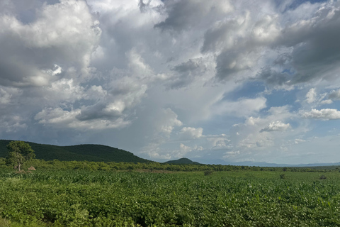 Addis Ababa: 14-Day National Parks and Wildlife Tour