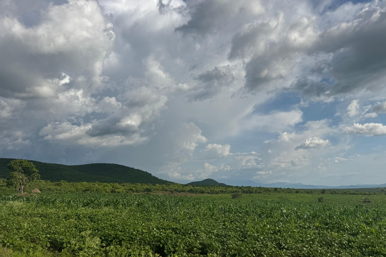 Addis Ababa: 14-Day National Parks and Wildlife Tour