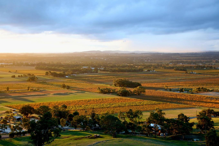 Adelaide: Barossa Private Wine Tour + Dina valda provsmakningar