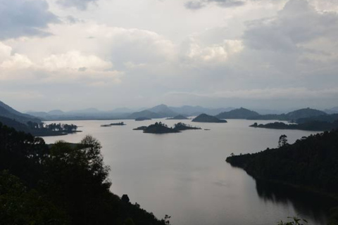 From Kigali: Gorilla Trekking in Uganda and Lake Burera Tour Kigali: Gorilla Trekking in Uganda and Lake Burera Boat Ride