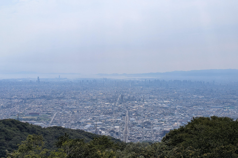 From Osaka: Horyuji Temple and Mount Ikoma Day Tour