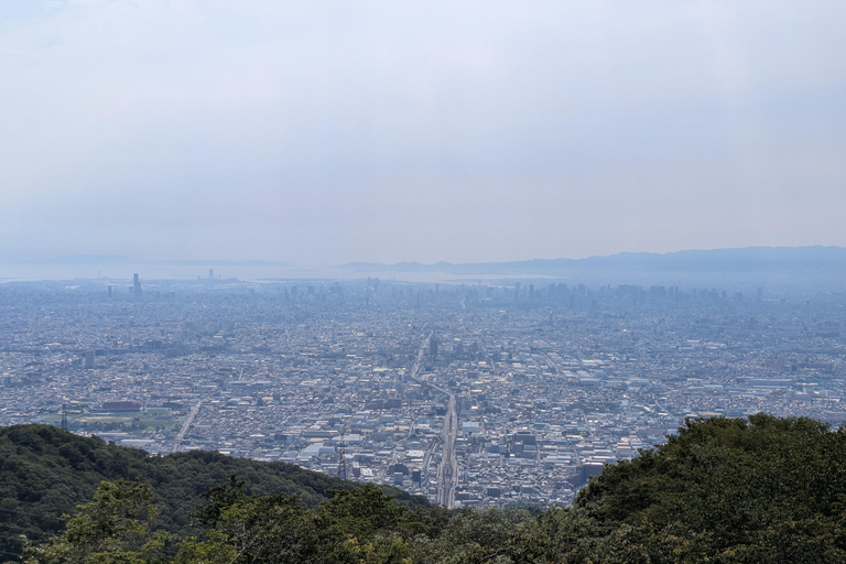 From Osaka: Horyuji Temple and Mount Ikoma Day Tour