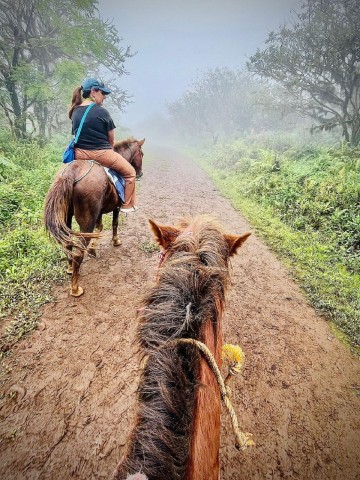 Visit Galapagos horse riding the ridges of Sierra Negra Volcano in Isabela Island