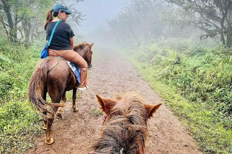 Galapagos paardrijden op de bergkammen van de Sierra Negra Vulkaan