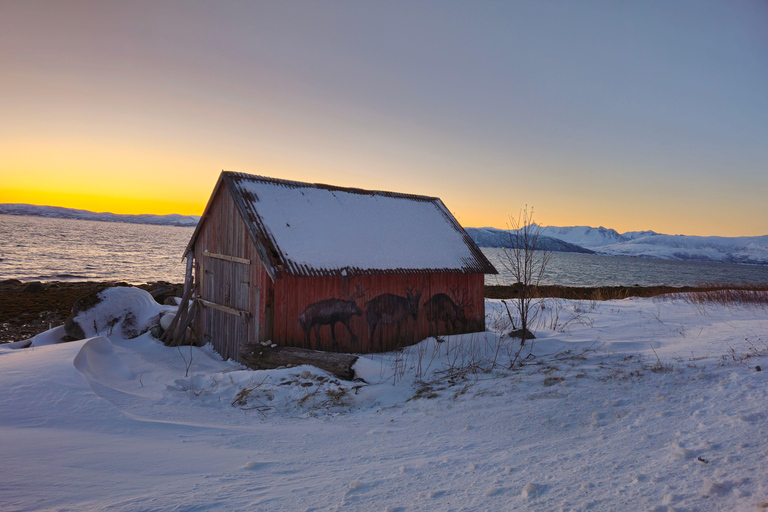 From Tromsø: Arctic Wildlife & Fjord Sightseeing Tour by Car From Tromsø: Arctic Fjord and Wildlife Tour by Car