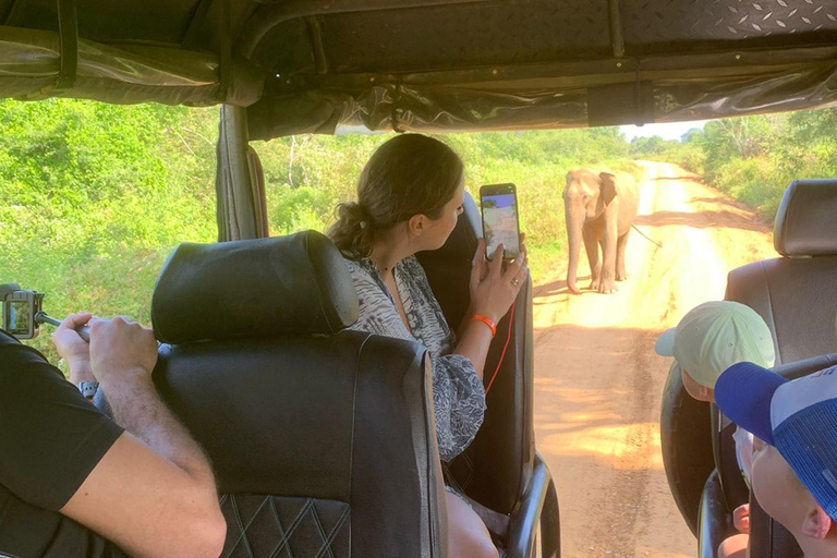 Yala Safari Experience from Ahungalla,Bentota,Beruwella,