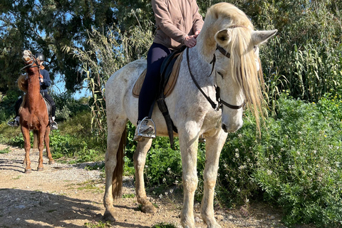 Guided tour on horseback through the guadalhorce valley
