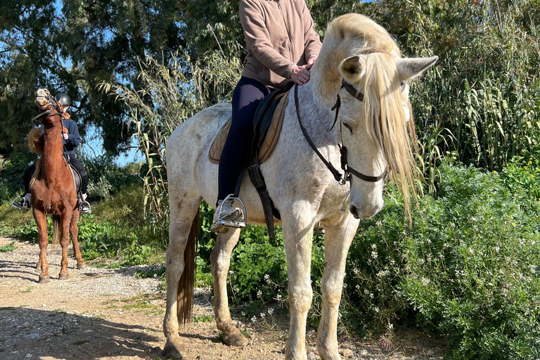 Guided tour on horseback through the guadalhorce valley