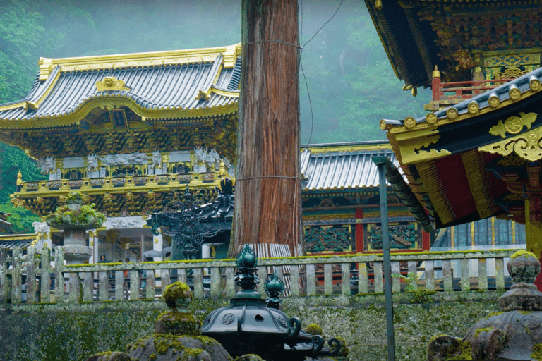 De Tóquio: Passeio turístico particular a Nikko com traslados