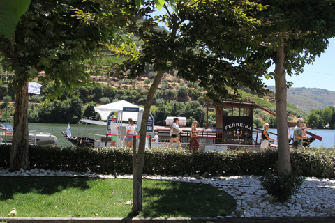 Porto: Douro Valley Half-Day Wine and Food Tour Tour with Hotel Pickup