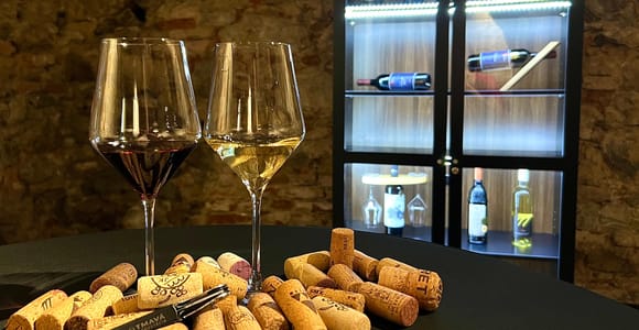 Schnelle Weinverkostung in Michalská