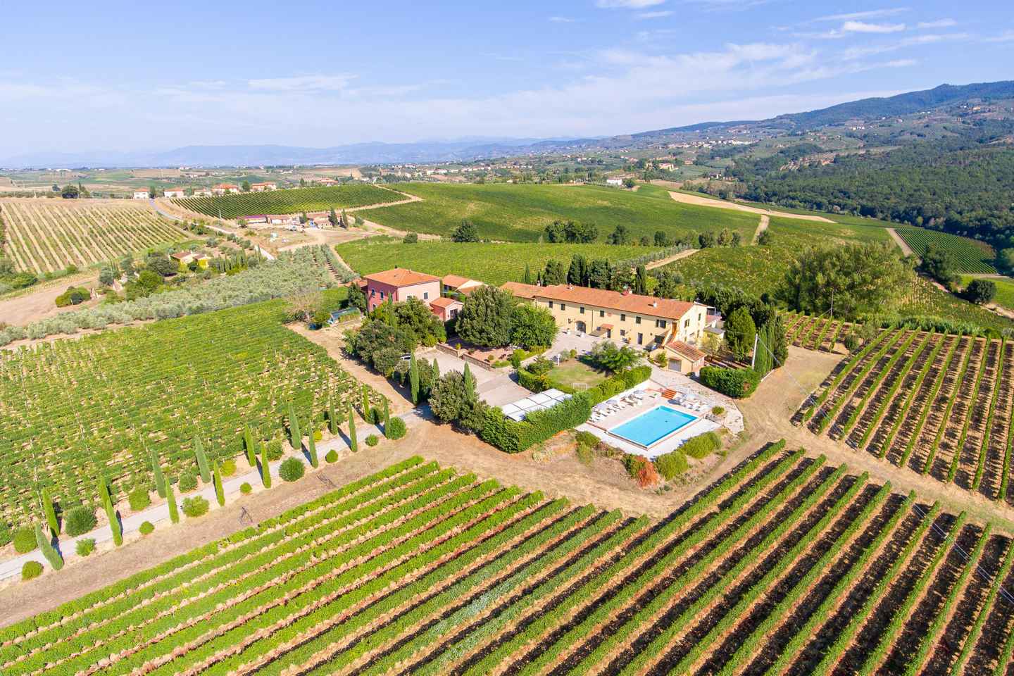 Vinci: visita ad una cantina biologica e degustazione di Chianti d.o.c.g