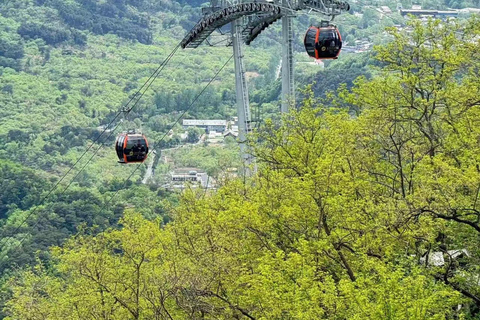 Grande Muraille : excursion matinale à Mutianyu au départ de Pékin