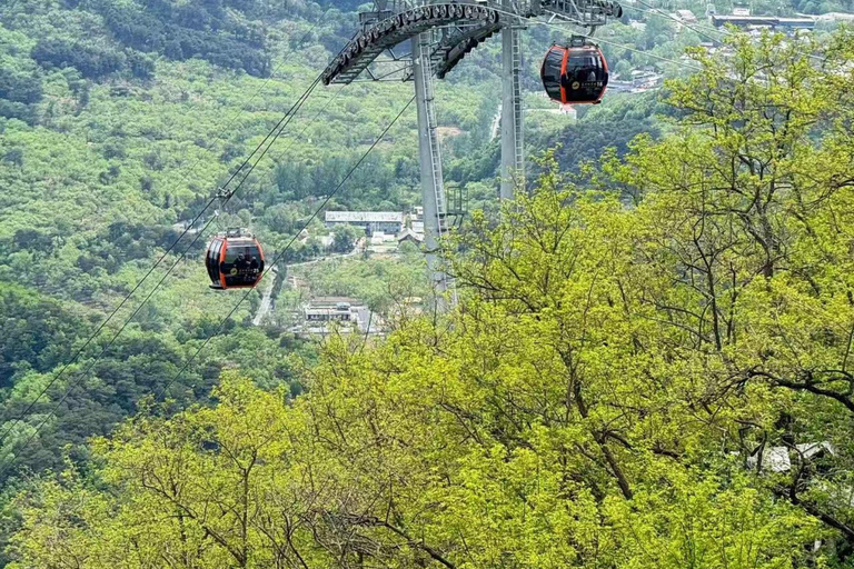 Grande Muraille : excursion matinale à Mutianyu au départ de Pékin