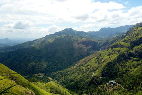 8-Day Sri Lanka Private Tour with Hotels, Train Ride &Safari