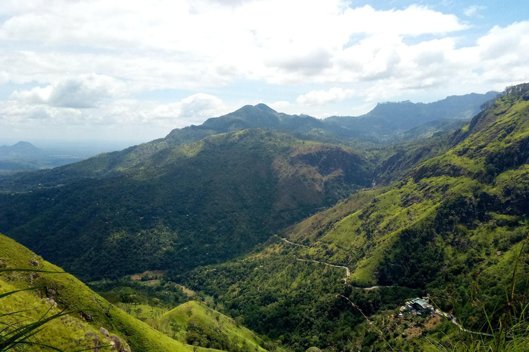 8-Day Sri Lanka Private Tour with Hotels, Train Ride &Safari