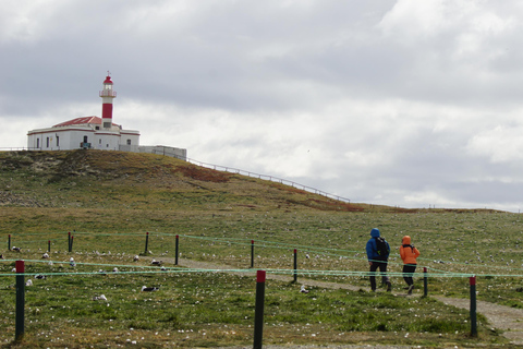 Punta Arenas: Ilha Magdalena - Passeio com pinguins e farol