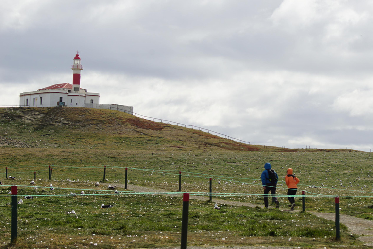 Punta Arenas: Ilha Magdalena - Passeio com pinguins e farol