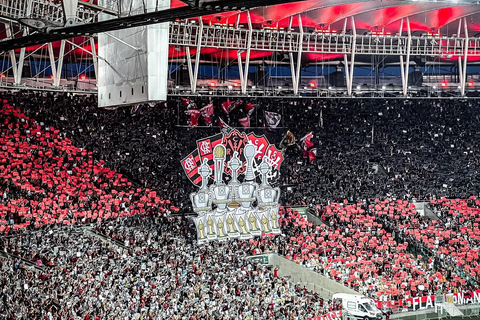 Rio de Janeiro: Guided tour and ticket - Soccer in historic stadiums Rio de Janeiro: Guided tour and admission - Soccer in historic stadiums