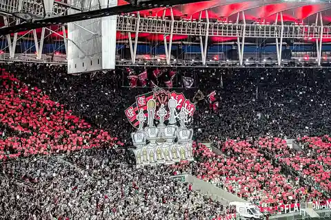 Rio de Janeiro: Guided tour and ticket - Soccer in historic stadiums