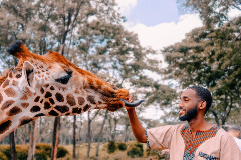 Nairobi National Park, Elephant Orphanage,& Giraffe Day Trip