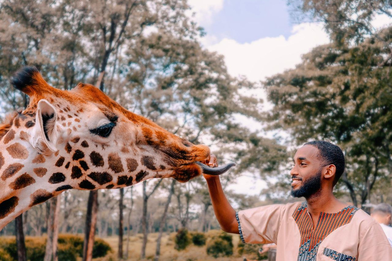 Nairobi National Park, Elephant Orphanage,& Giraffe Day Trip