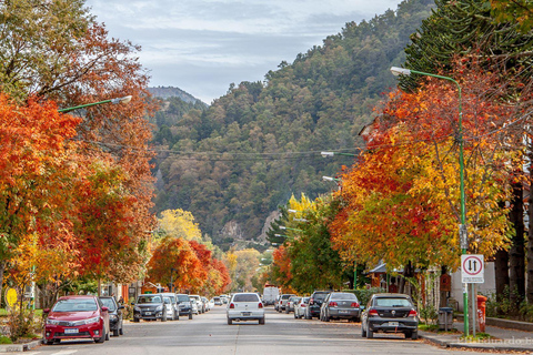 Von Bariloche aus: San Martin de los Andes und 7-Seen-RundfahrtTour auf Spanisch