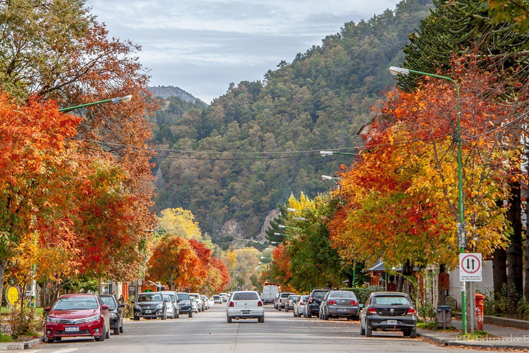 From Bariloche: San Martin de los Andes and 7 Lakes Circuit Tour in Spanish