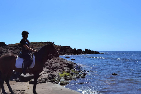 Tenerife South: Private Horseback Ride to the Coast