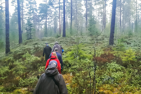 Depuis Stockholm : safari et dîner avec feu de camp