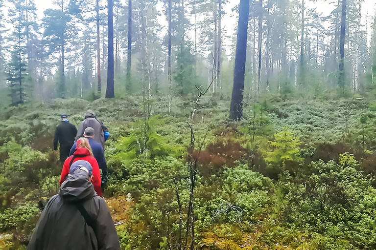 Ab Stockholm: Wildsafari mit Abendessen am Lagerfeuer