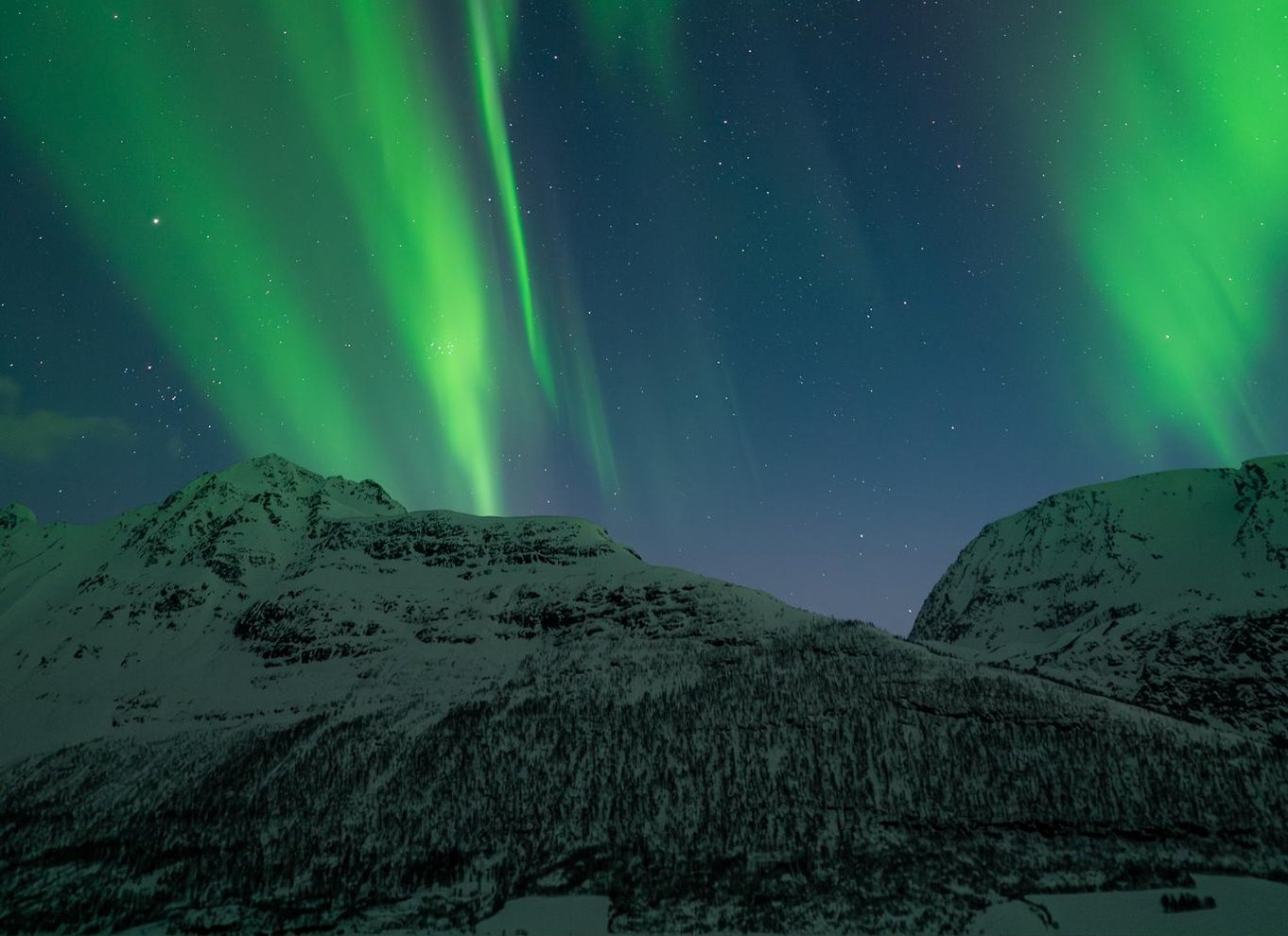 Tromsø: Nordlys i minibus med gratis fotos og et varmt måltid