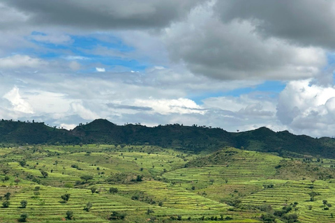 Addis Abeba: Bale-Gebirge &amp; Sof Omar-Höhle 4-tägige TourAddis Abeba: 4-tägige Tour zu den Bale Mountains und der Sof Omar-Höhle