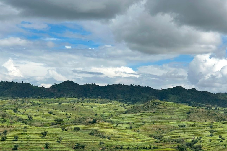 Addis Abeba: Bale-Gebirge &amp; Sof Omar-Höhle 4-tägige TourAddis Abeba: 4-tägige Tour zu den Bale Mountains und der Sof Omar-Höhle
