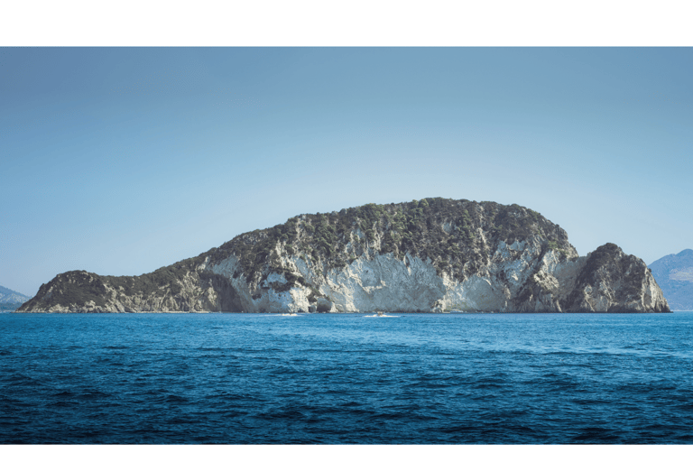 Zakynthos: Small Group Turtle Tour with Swim Stops