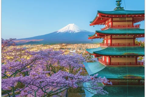 From Tokyo: Mount Fuji Full-Day Sightseeing Trip