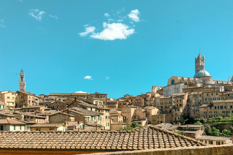 From Florence: Siena, San Gimignano & Chianti Private Tour