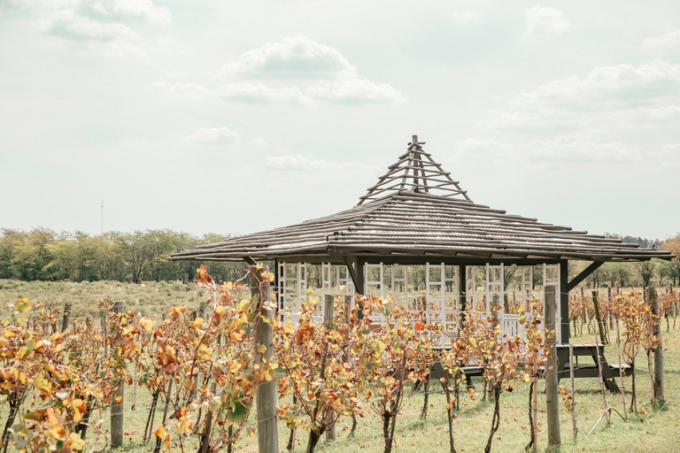 Buenos Aires: Lunch and Wine Tasting at Bodega Gamboa