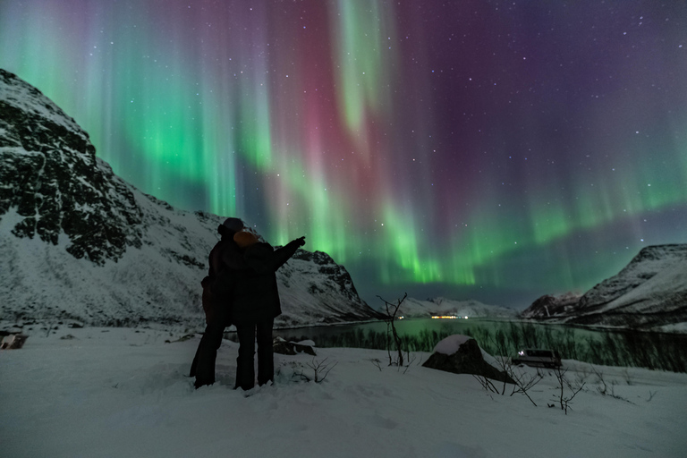 Tromsø: Northern Lights Tour (Max 8) Pickup + Finland
