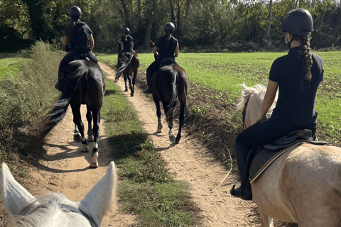 Horseback Riding in Costa Brava with Castell d’Empordà Views